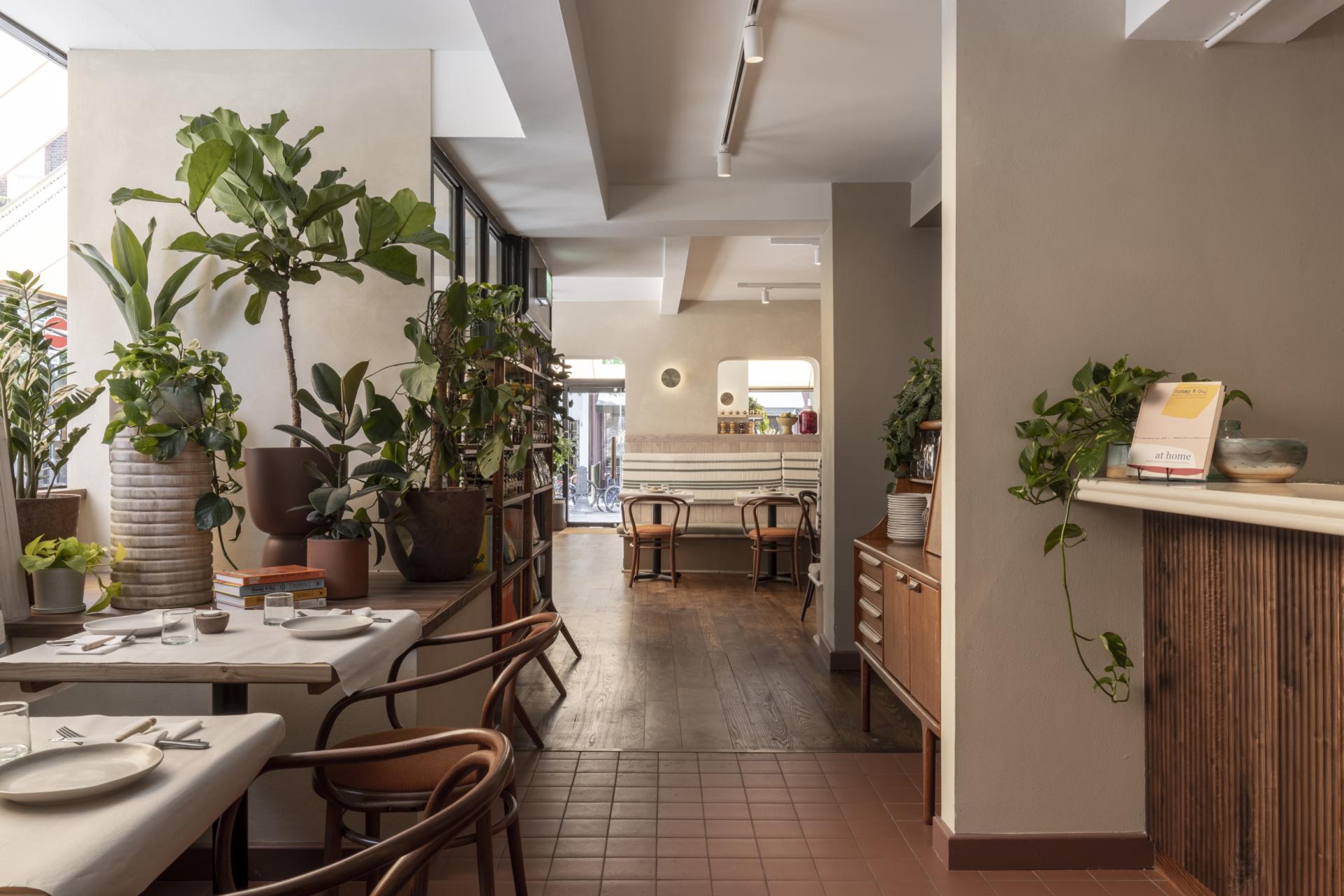 Modern interior of Honey & Co restaurant featuring greenery, wooden furnishings, and a stylish dining space in Bloomsbury, London.