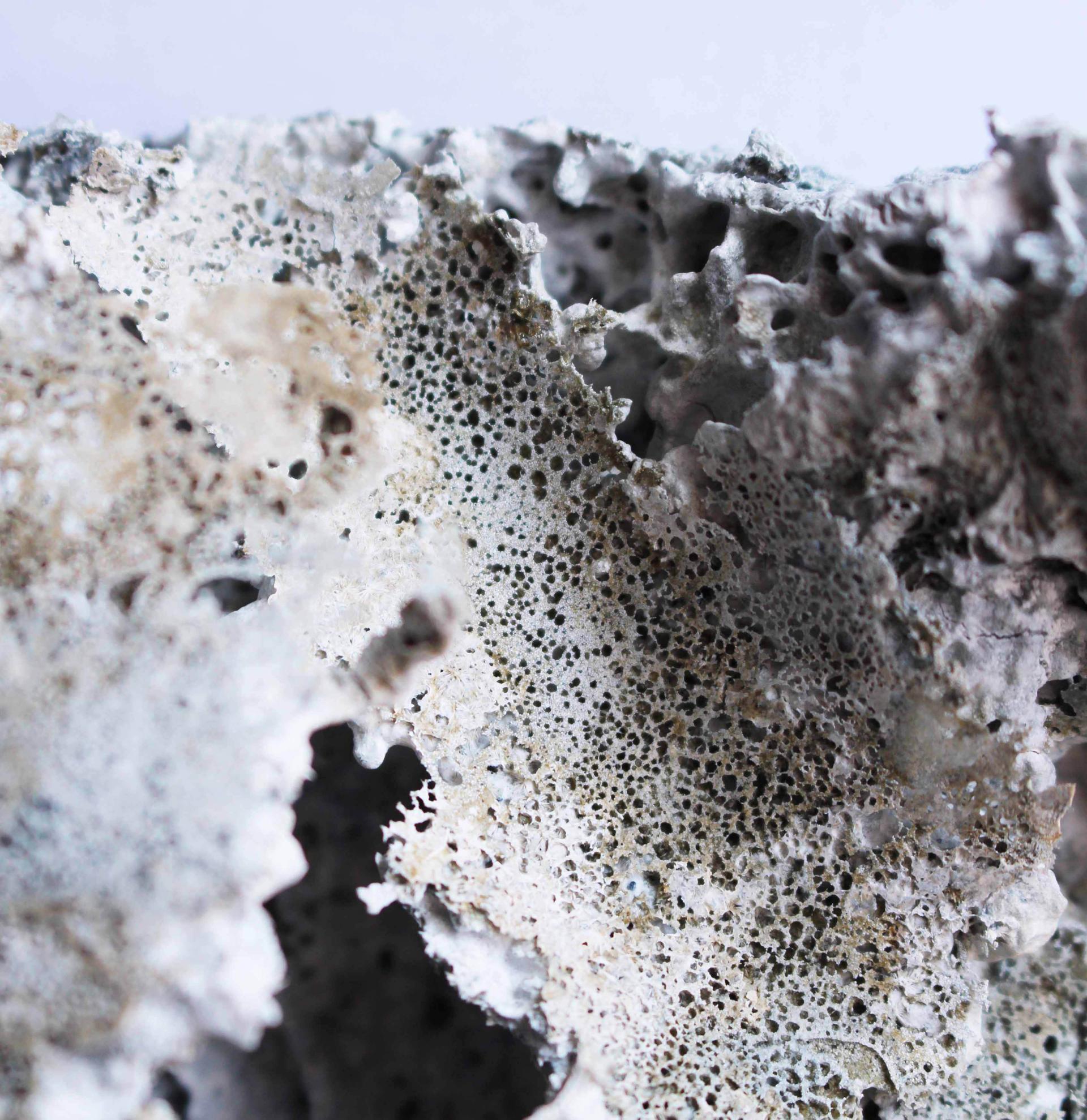 Close-up of textured biodegradable material resembling marble, illustrating beauty in degradation for sustainable design.