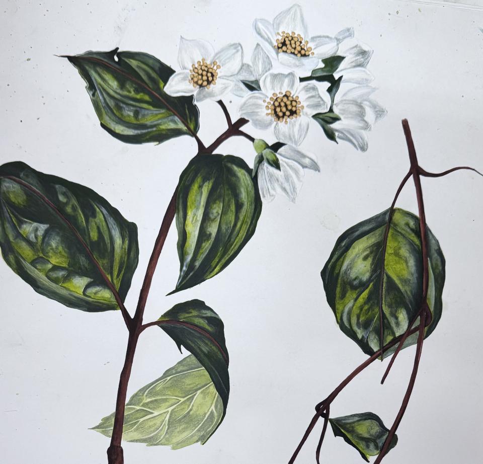 Intricate painting of a flowering plant with white blossoms and green leaves, showcasing the artistry of Beth Travers.