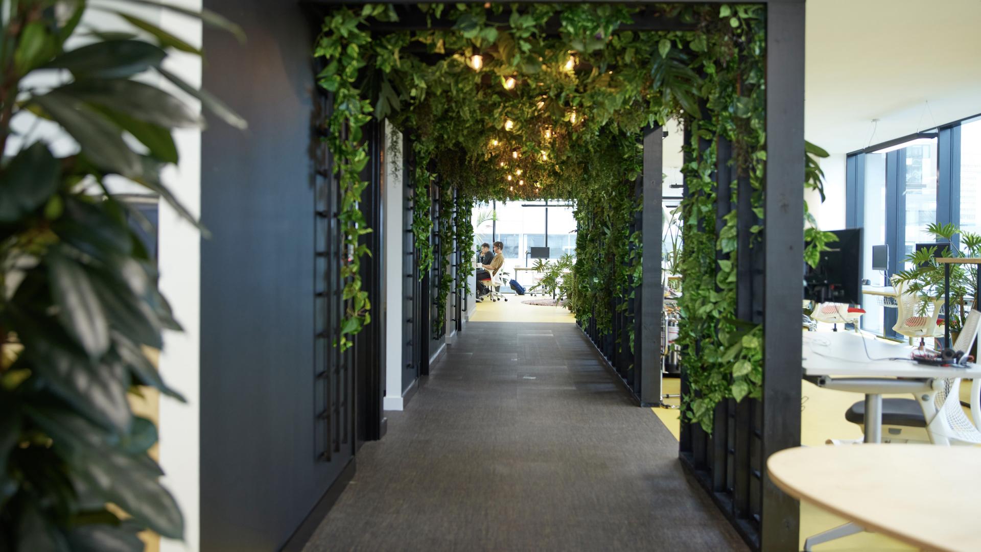 Contemporary office corridor adorned with lush greenery, promoting creativity and community in workspace design.