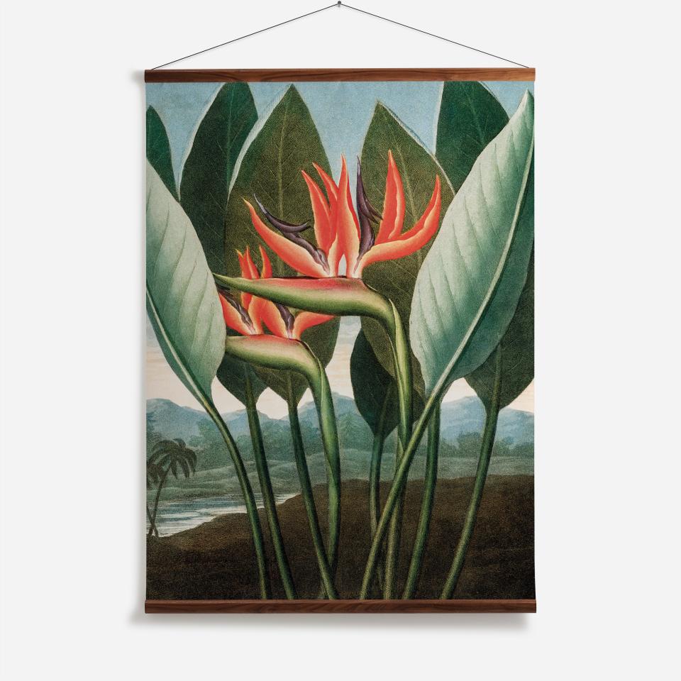 Vibrant illustration of tropical flowers and lush leaves, showcasing nature’s beauty in Surface View's Greenhouse print collection.