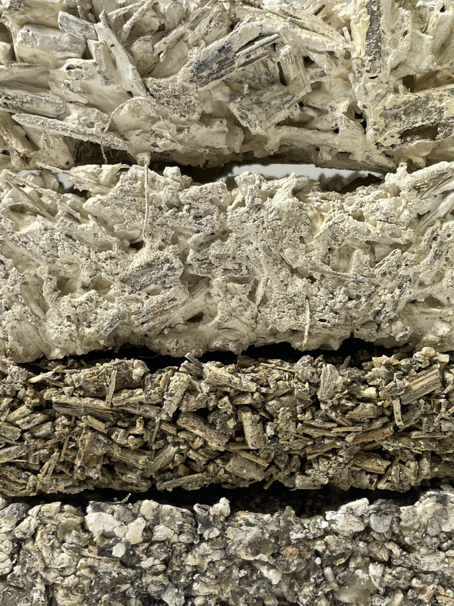 James Pound, architectural assistant, DAY Architectural, on sunflower-based construction.
