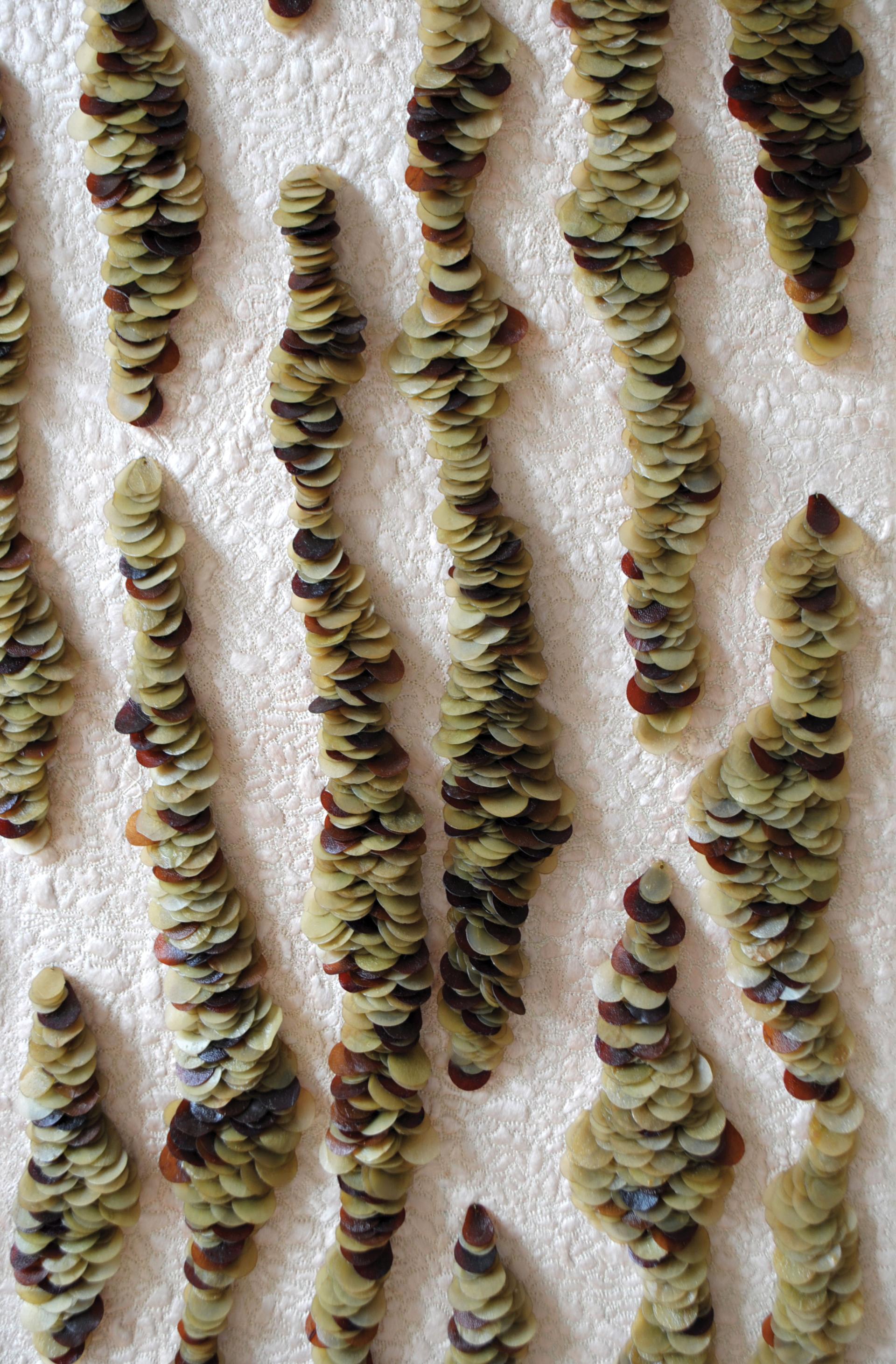 Textile artwork made from layered Scottish seaweed, showcasing intricate circular shapes arranged on a textured background.