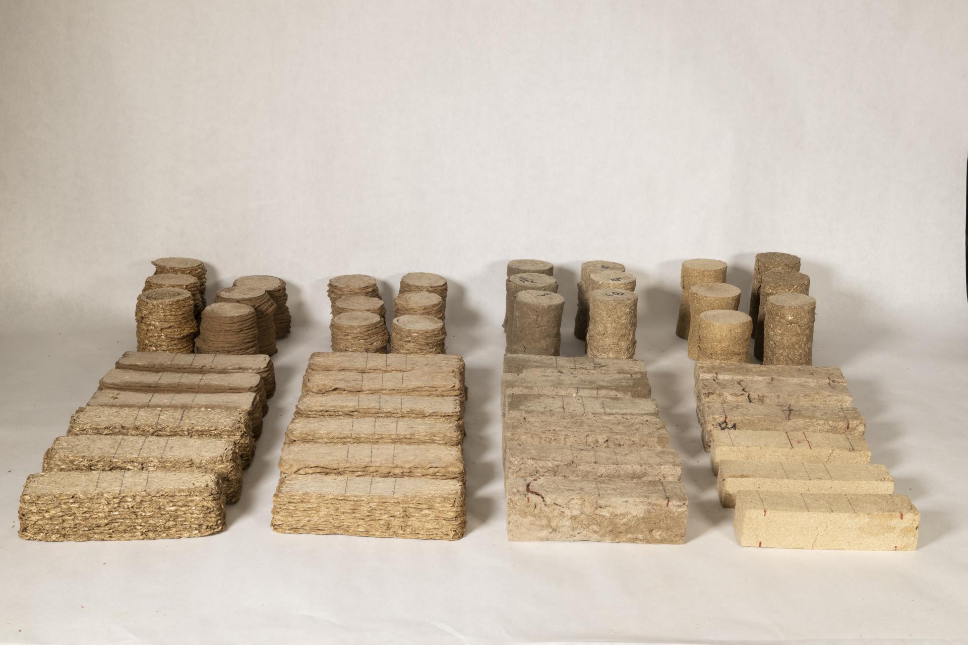 Lola Ben-Alon, assistant professor, Columbia University & director, Natural Materials Lab.