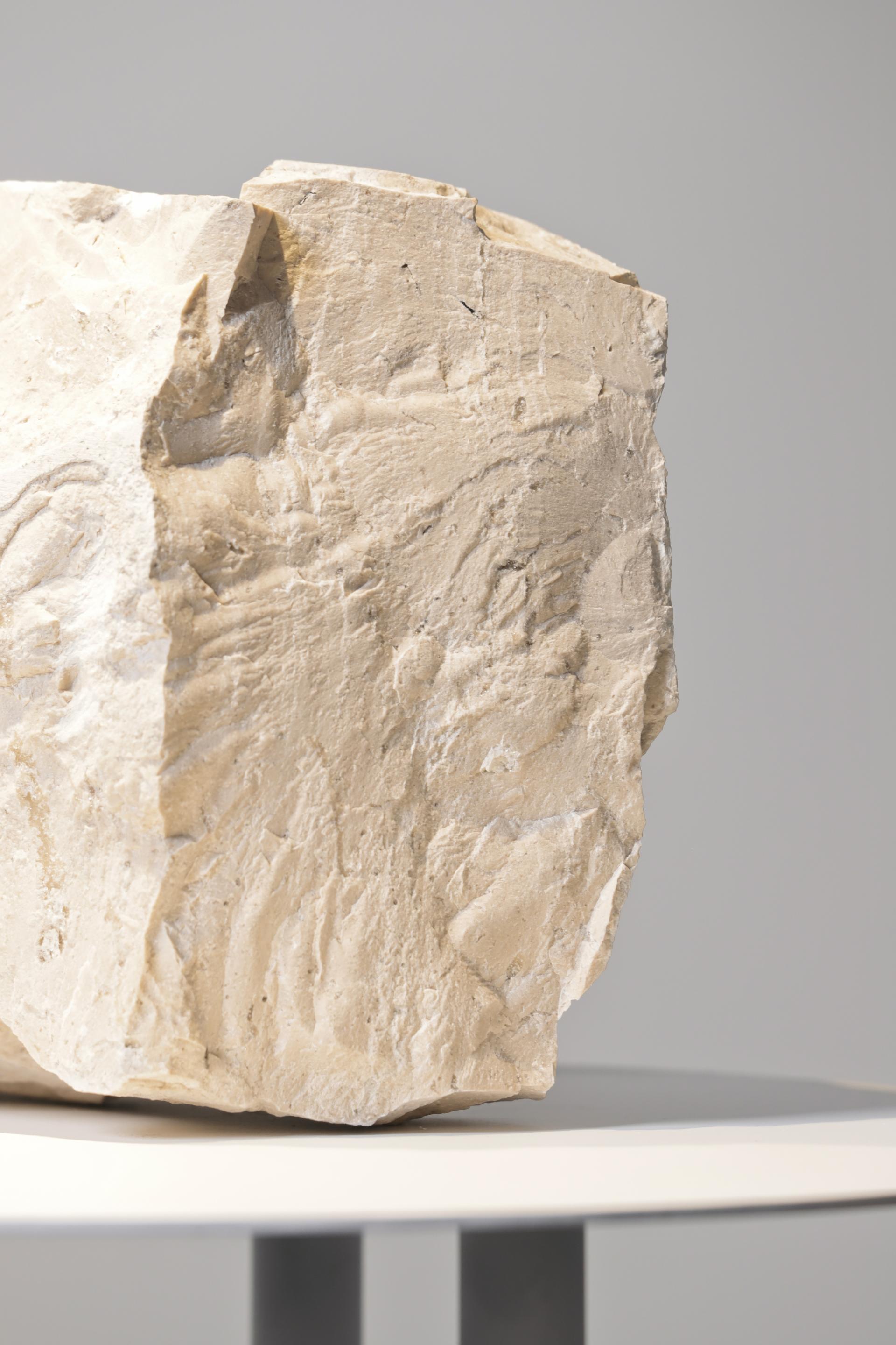 Natural stone piece showcasing the new Meta white finish from studio davidpompa's collection, highlighting its textured surface.