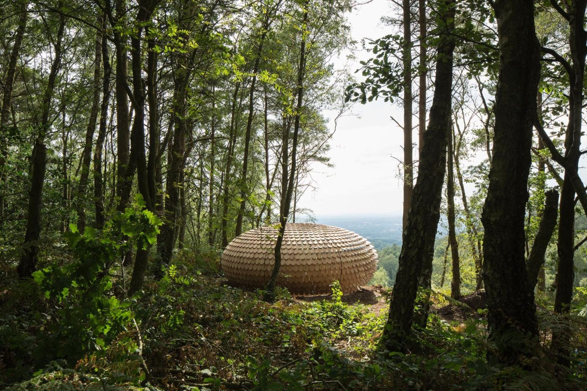 A unique wooden structure resembling a dome surrounded by lush trees, emphasizing innovative architecture and materiality by Giles Miller Studio.