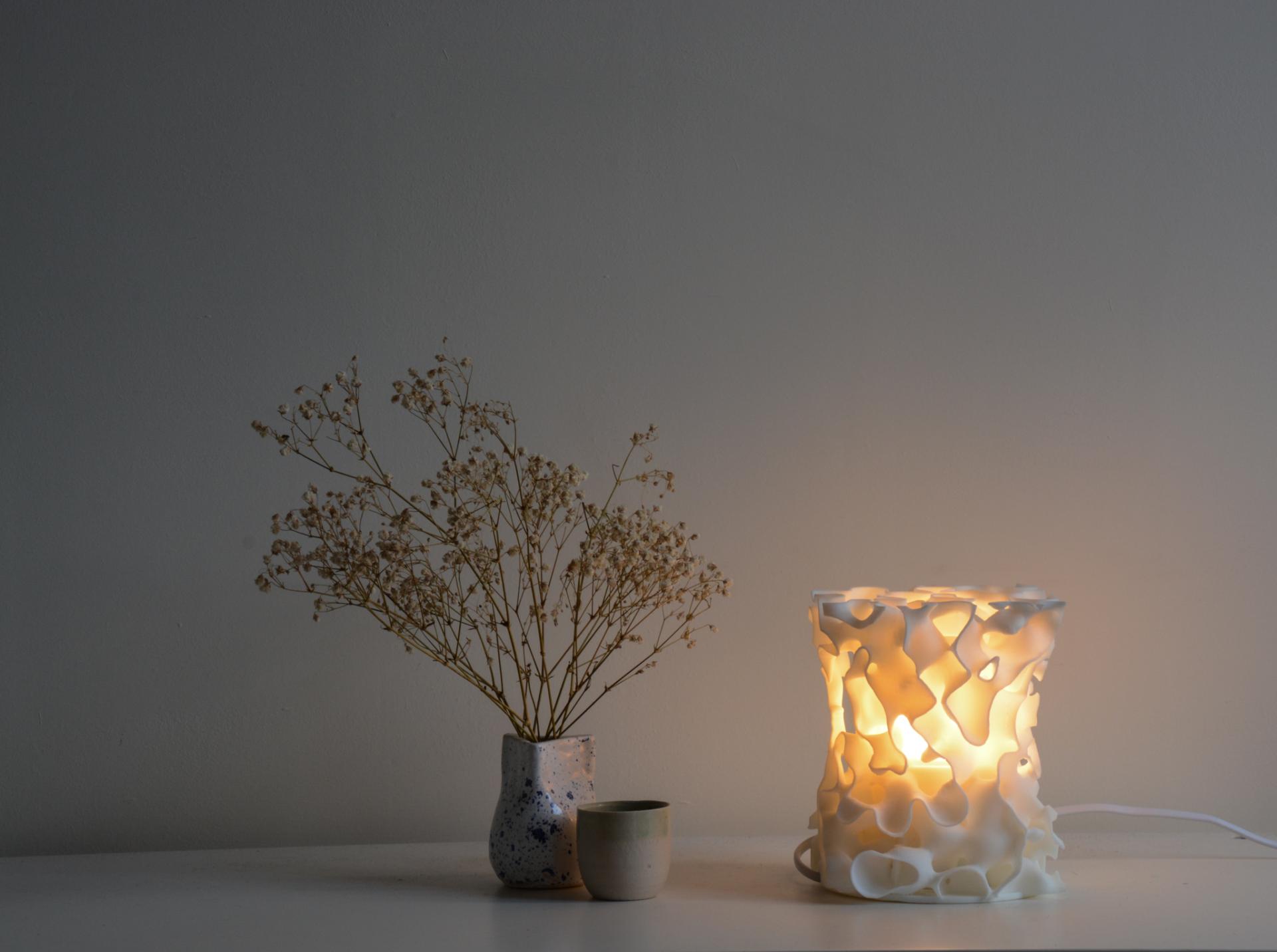 Innovative lamp design alongside delicate dried flowers in ceramics, showcasing creativity from the Graduate Design Shows 2023.