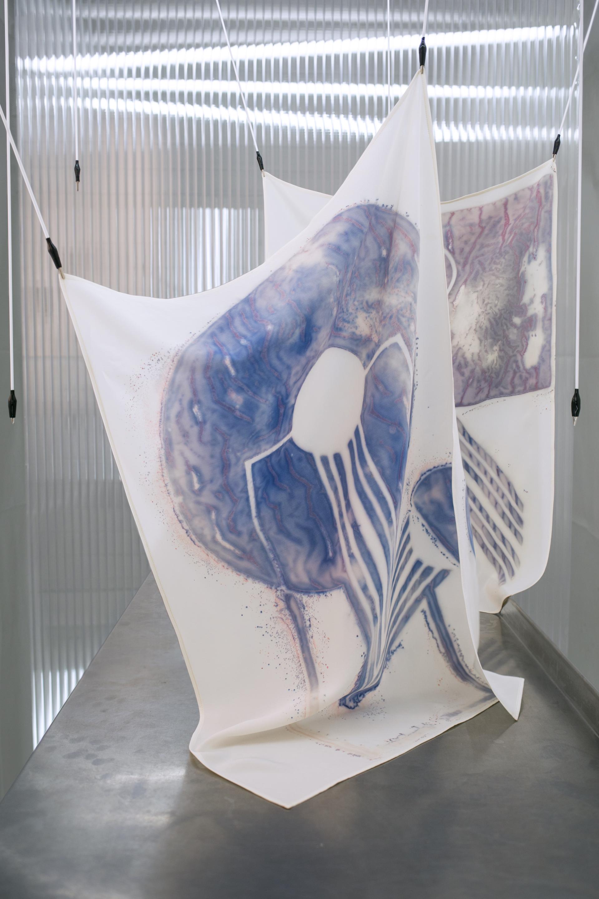 Sustainable biodesign display featuring vibrant microbial patterns on fabric by Natsai Audrey Chieza, emphasizing innovation and eco-friendly art.