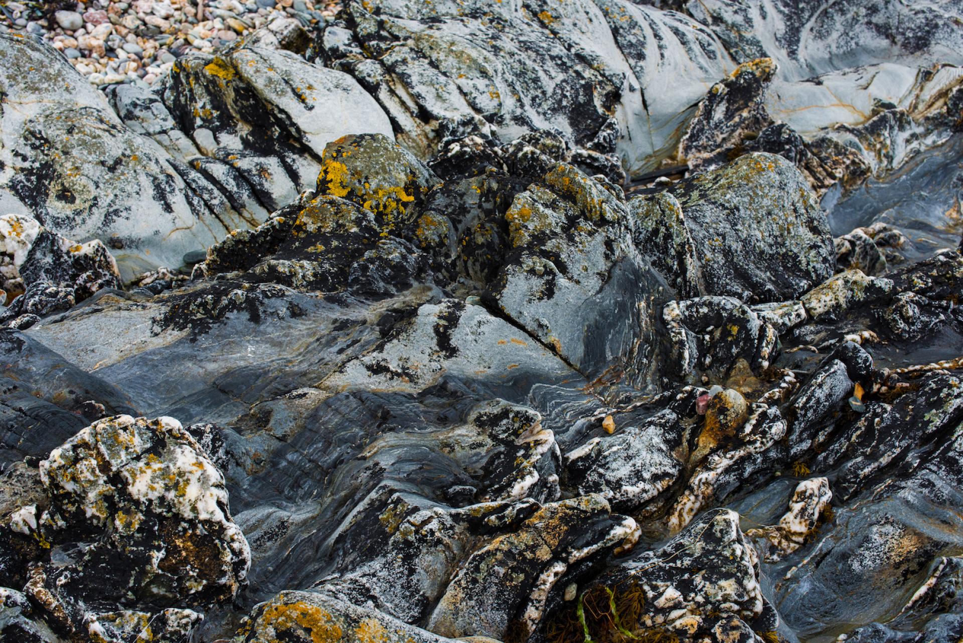 Textured rocky coastline with lichen-covered stones, highlighting the natural beauty and history of Bute's landscape.