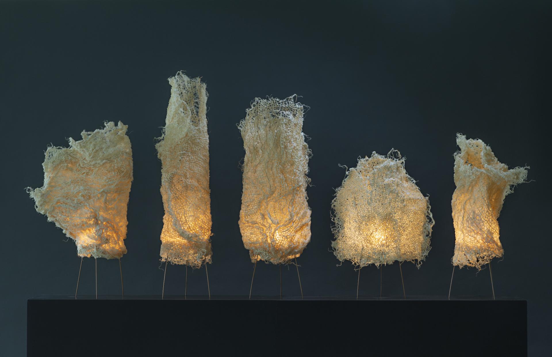 Illuminated organic sculptures resembling plant forms, designed to highlight the connection between nature and contemporary design.