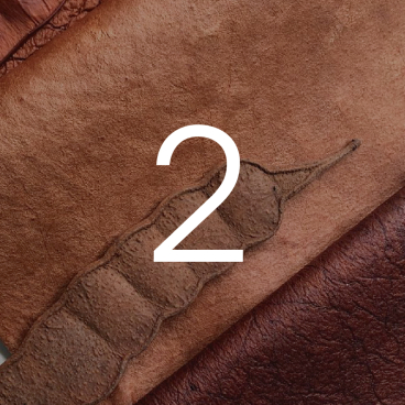 Close-up of Angico bioleather showcasing its unique texture and natural colors, highlighting sustainable materials in fashion.