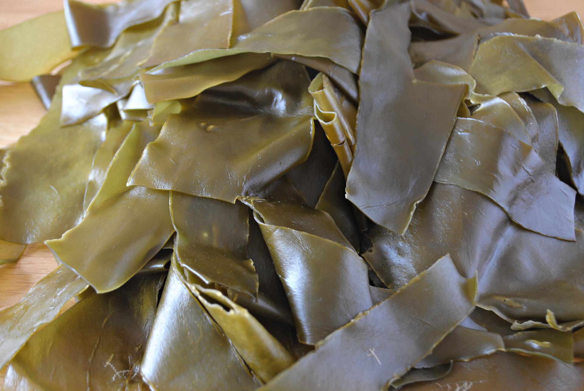 Dried seaweed sheets piled together, showcasing the natural textures used in Jasmine Linington's textile art.