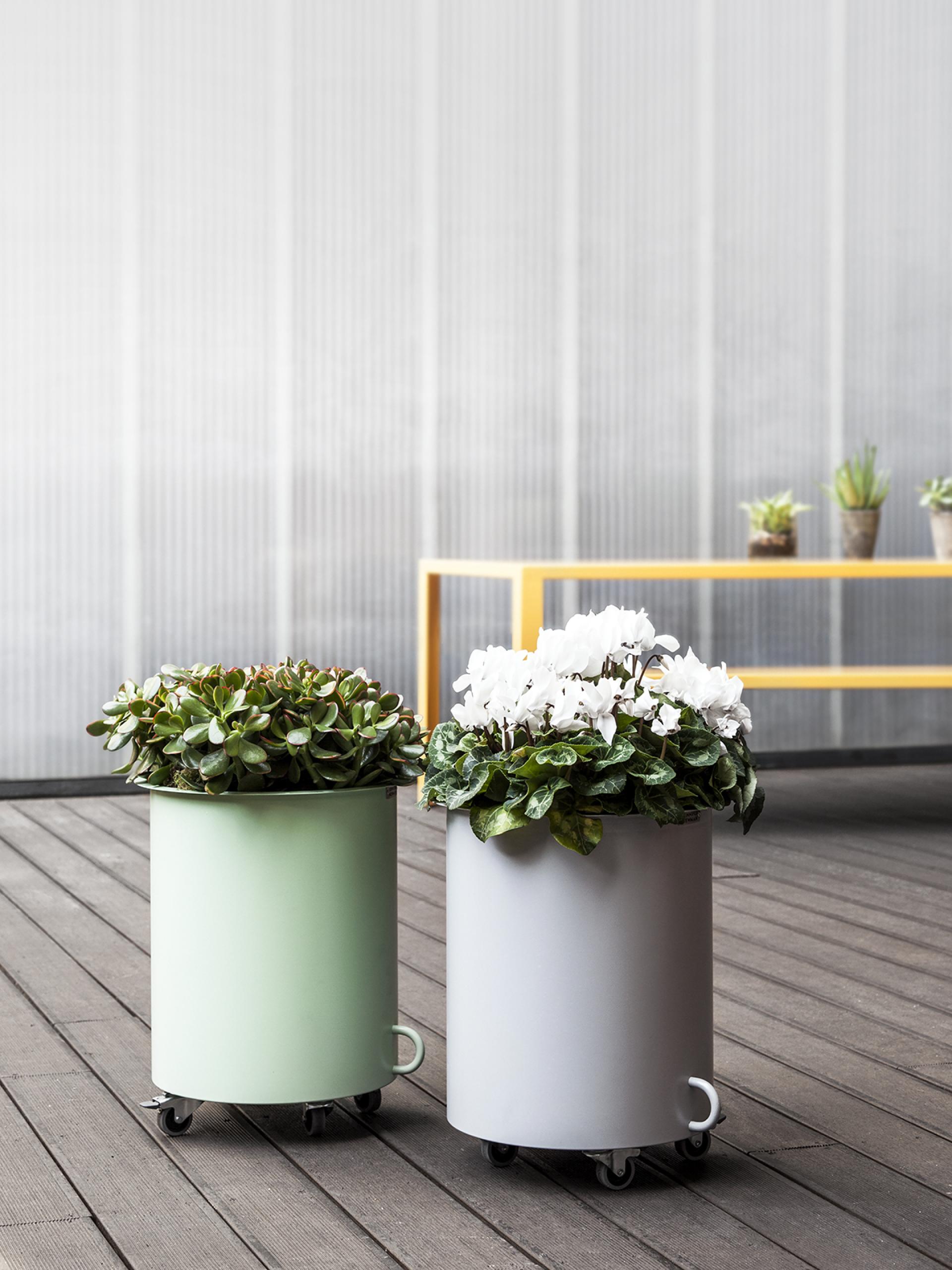 Colorful planters on wheels with succulents and white flowers, showcasing innovative furniture design by Jennifer Newman.