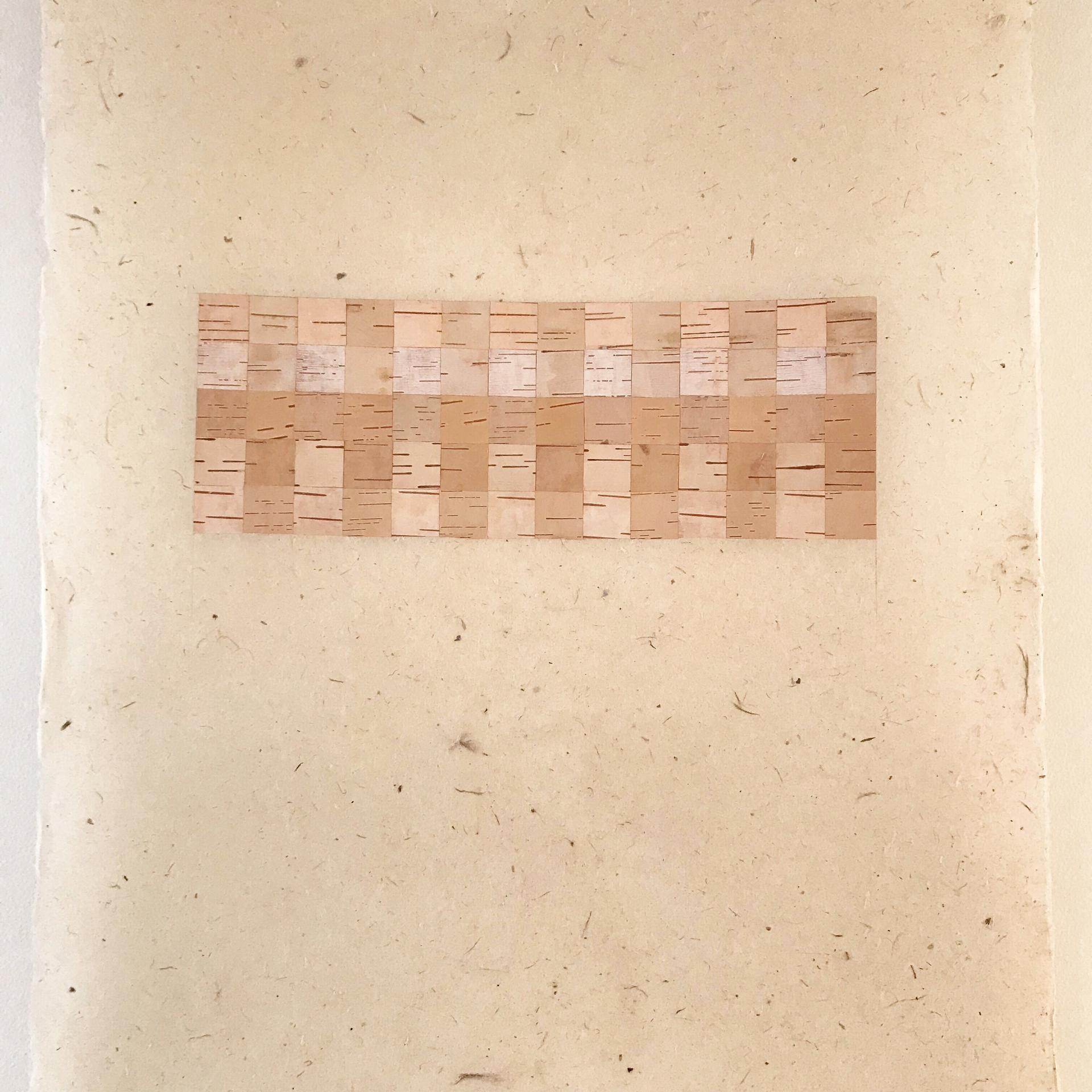 Textured arrangement of light brown biomaterials samples displayed on a soft, natural fiber background.