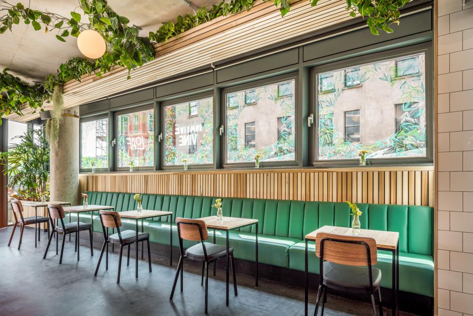 Bright and inviting café space at Bristol Loaf, featuring green seating, natural light, and decorative plants.