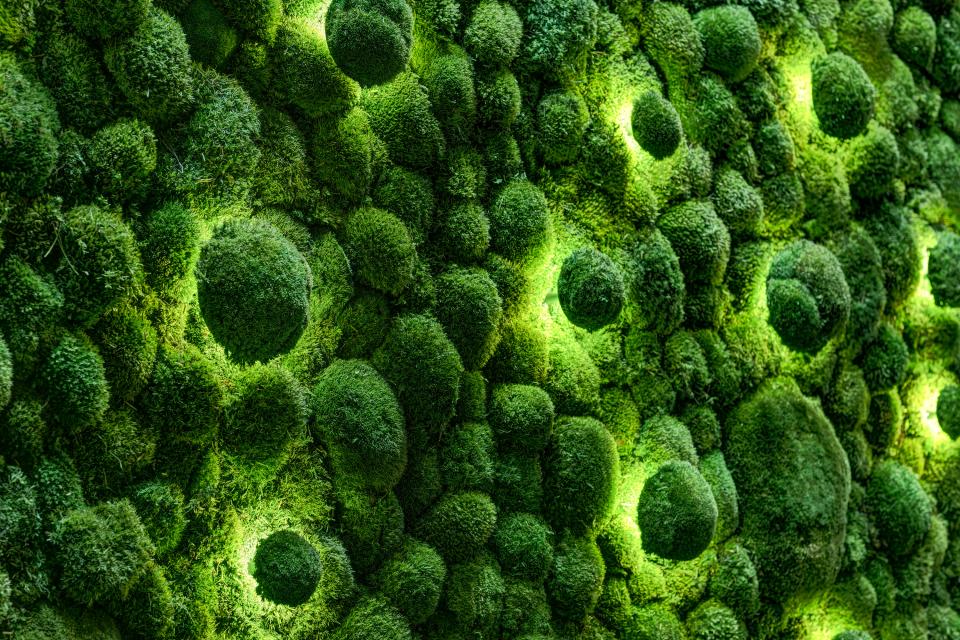 Lush green moss wall art illuminated by soft lights, showcasing innovative design at Surface Design Show 2019.