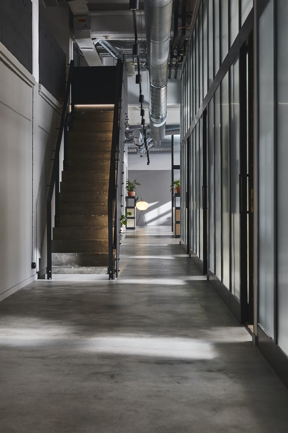 Renovated corridor in a stylish studio featuring a staircase, plants, glass walls, and modern lighting.