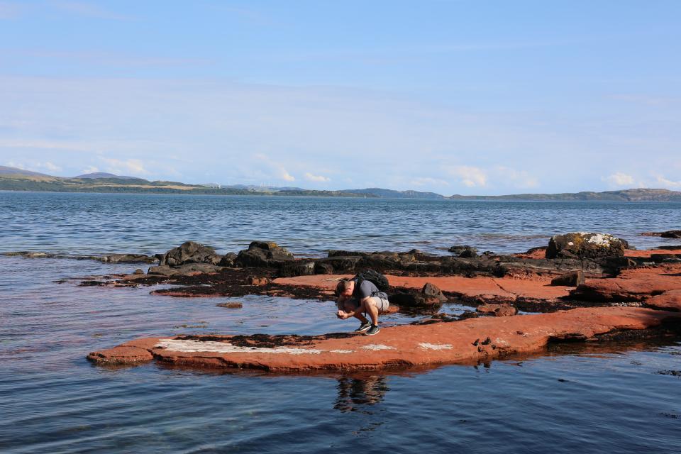 A person examines unique coastal rock formations along the water, highlighting the beauty of Scotland's natural landscape.