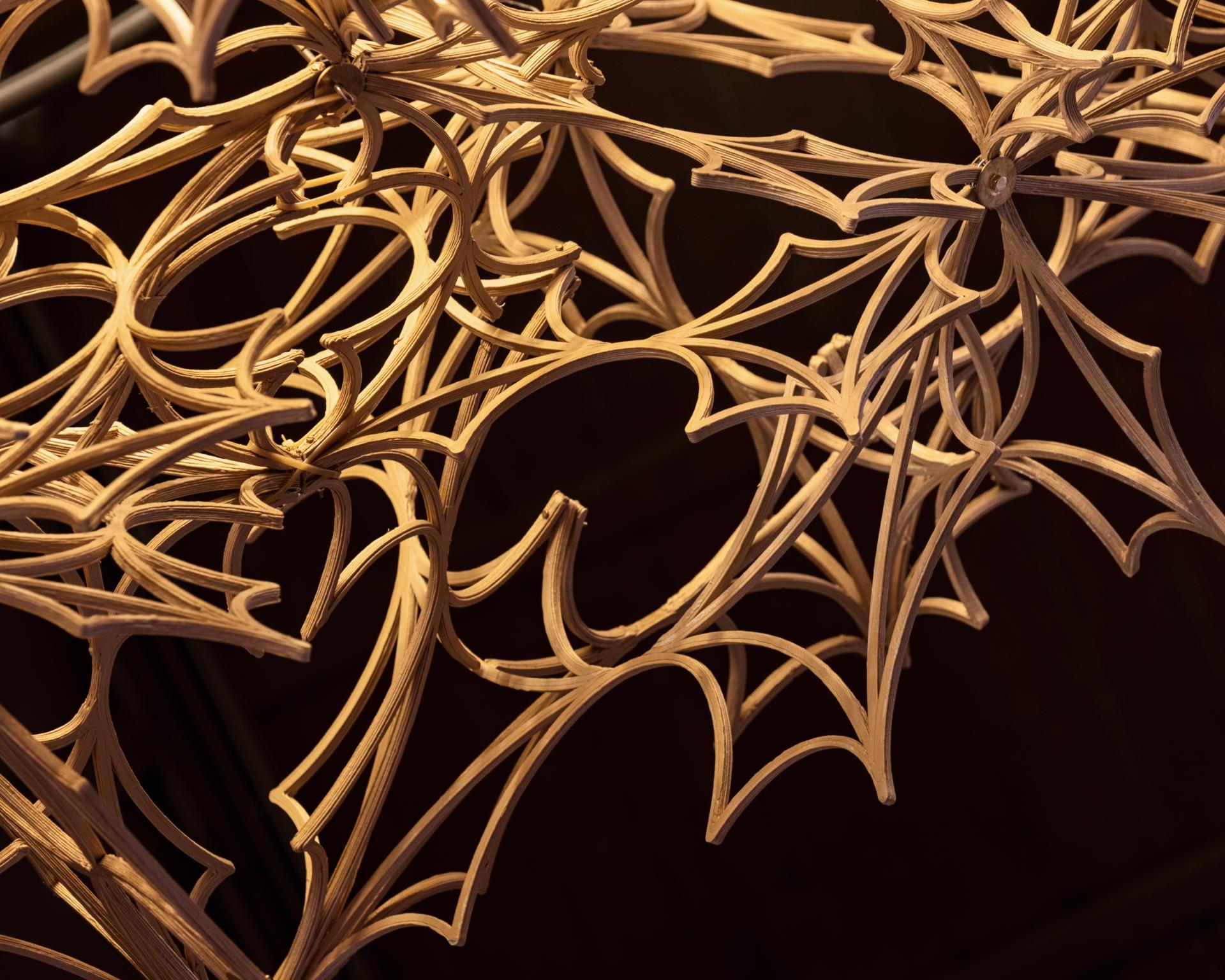 Intricate 3D printed design showcasing organic shapes, highlighting innovation in construction through advanced 3D printing techniques.