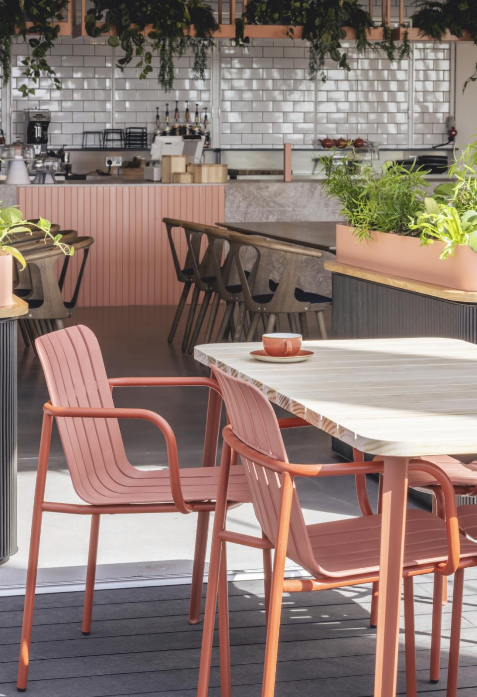 Modern café interior featuring vibrant coral chairs and lush greenery, highlighting popular design trends in hospitality for 2022.