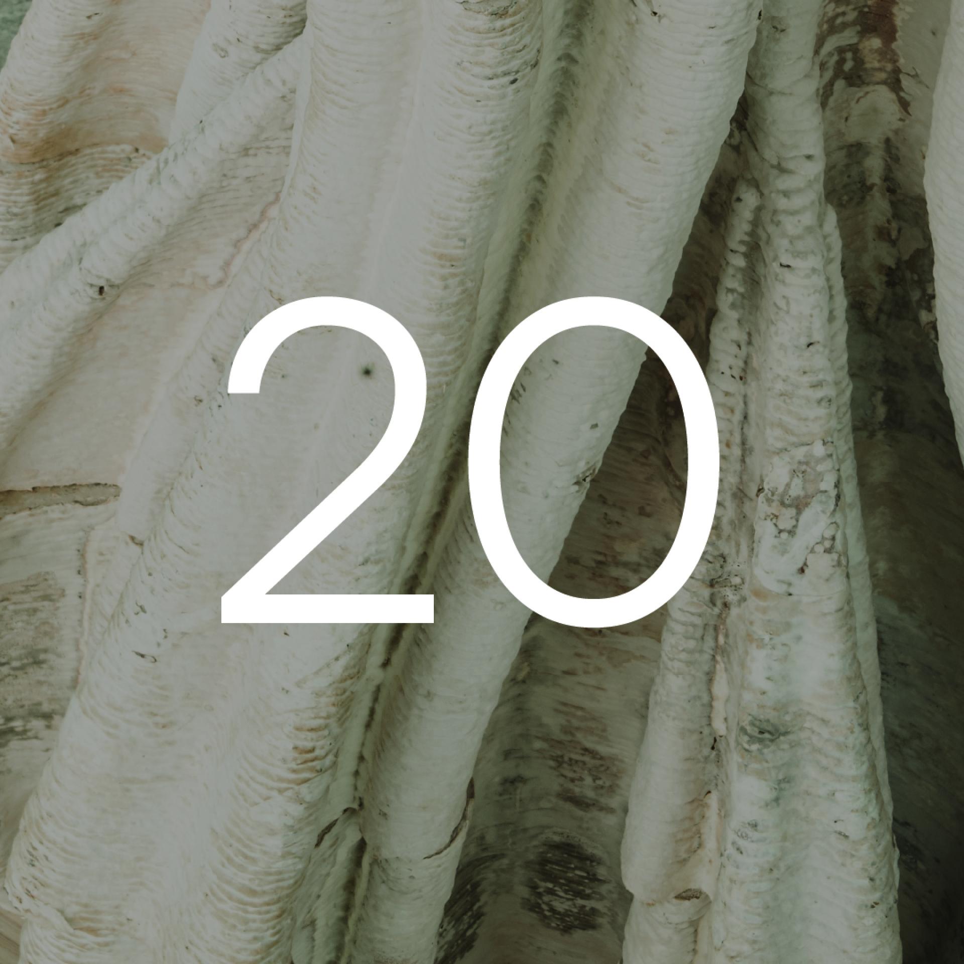 24 bio and by-product based materials for 2024.