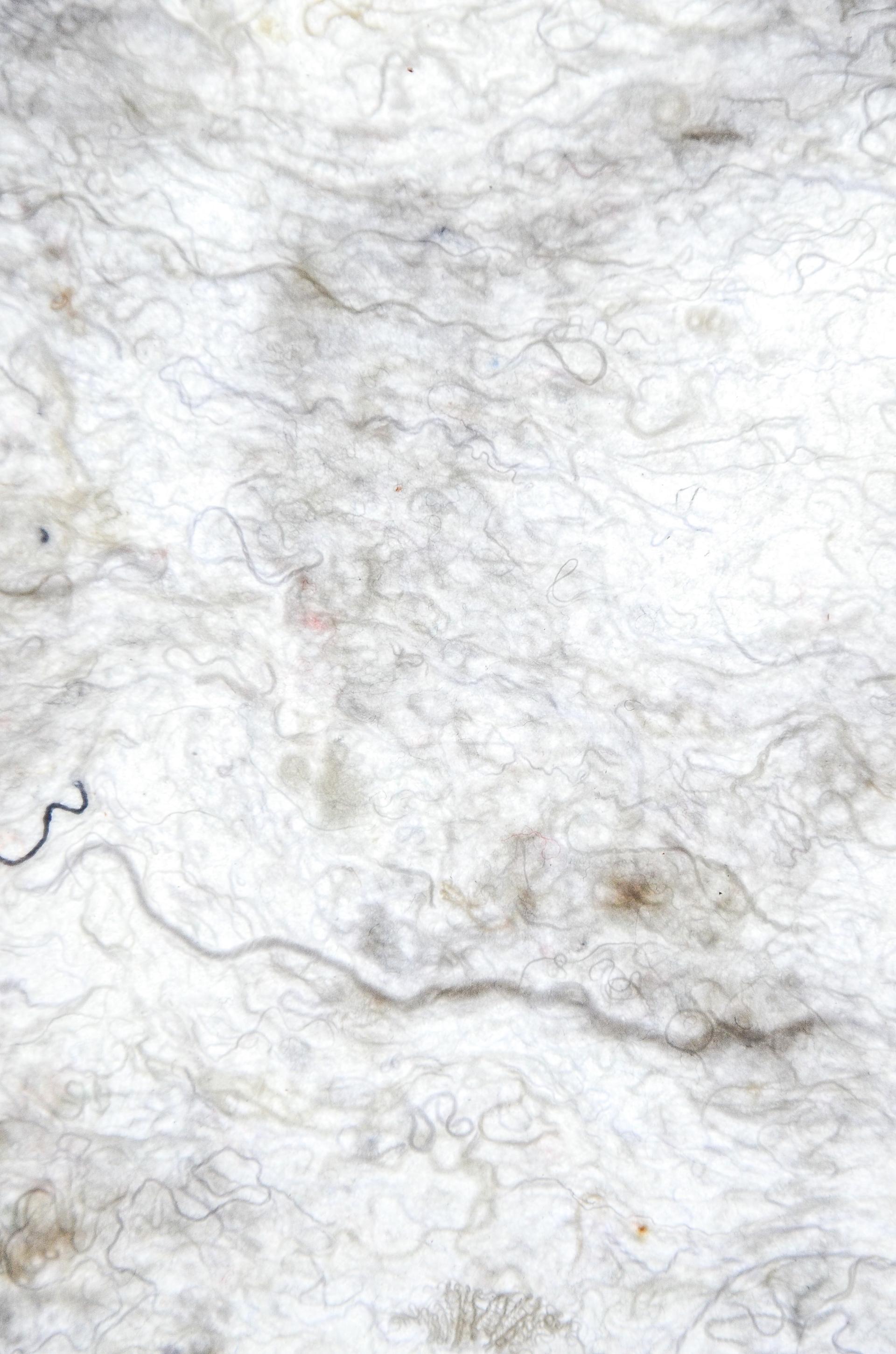 Biomaterial texture showcasing the innovative use of reimagined waste in sustainable design by Studio Sarmite.