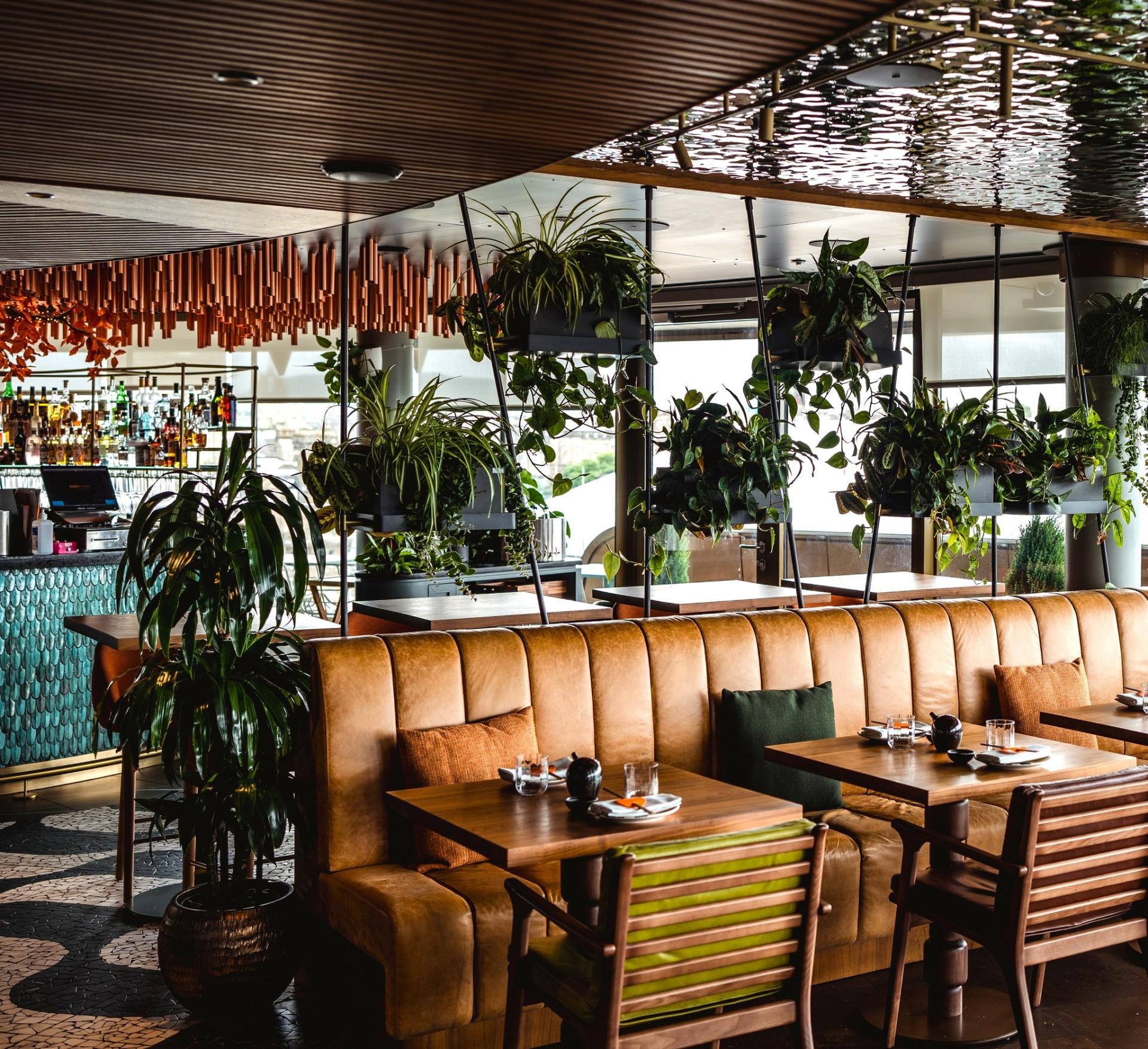 Stylish dining area at W Hotel Edinburgh featuring lush greenery, modern decor, and a vibrant bar backdrop.