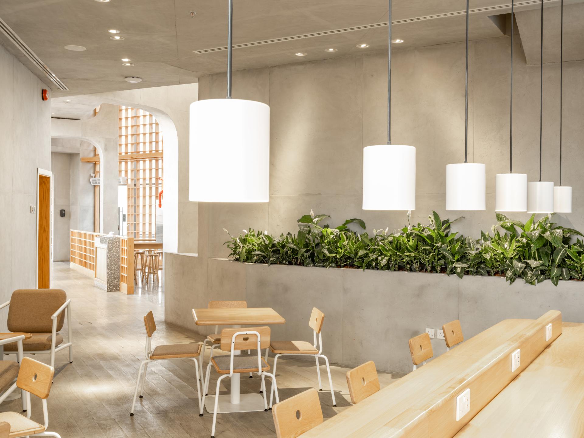 Modern coffee shop interior featuring minimalist Japandi design, with light wood furniture and lush greenery accents.