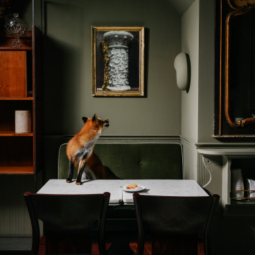 A fox stands on a table, gazing at a classical sculpture in Caffè La Tana's warm, inviting atmosphere.