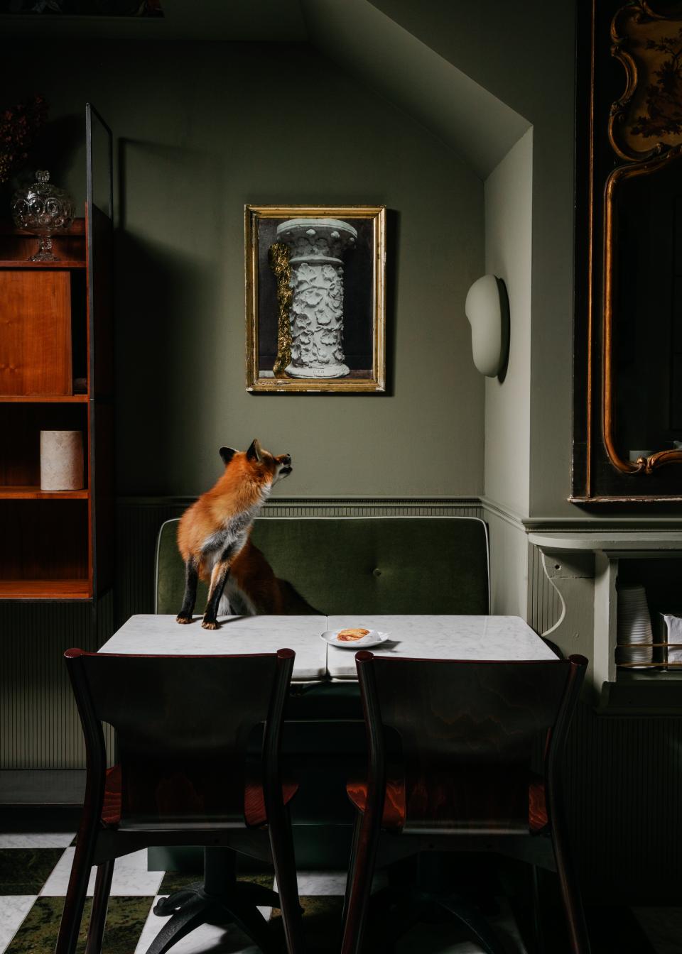 A fox stands on a table, gazing at a classical sculpture in Caffè La Tana's warm, inviting atmosphere.