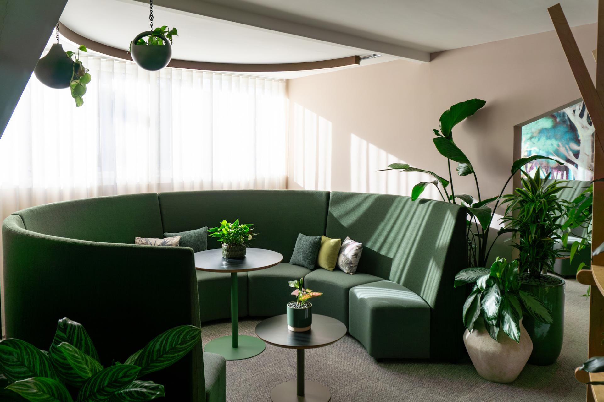 Vibrant lounge area in the Liz Hickson Academy featuring green seating, plants, and natural light promoting collaboration and wellbeing.