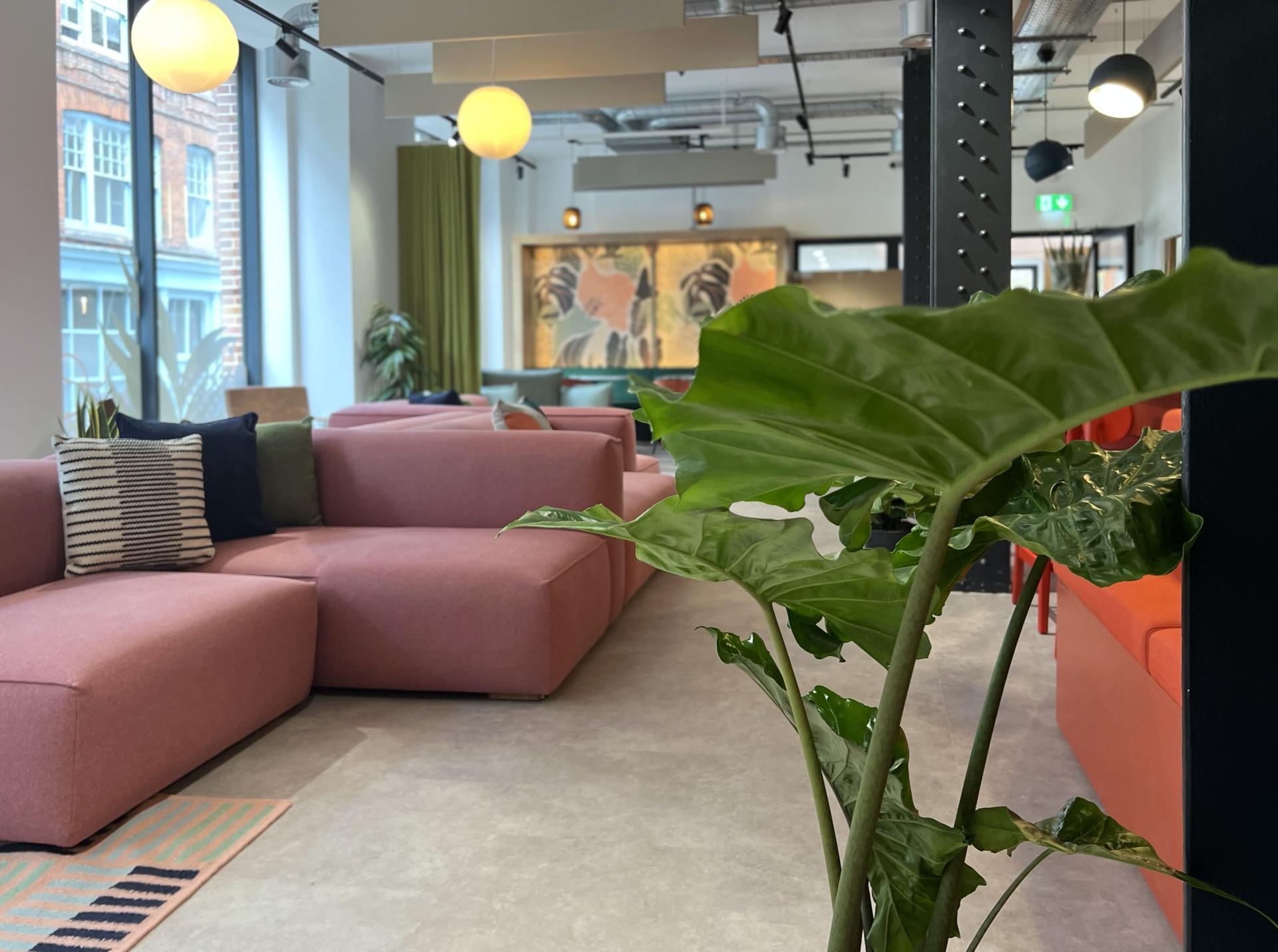 Vibrant co-working space with pink sofas, decorative cushions, and greenery, highlighting Sheila Bird Studio's design collaboration with Runway East.