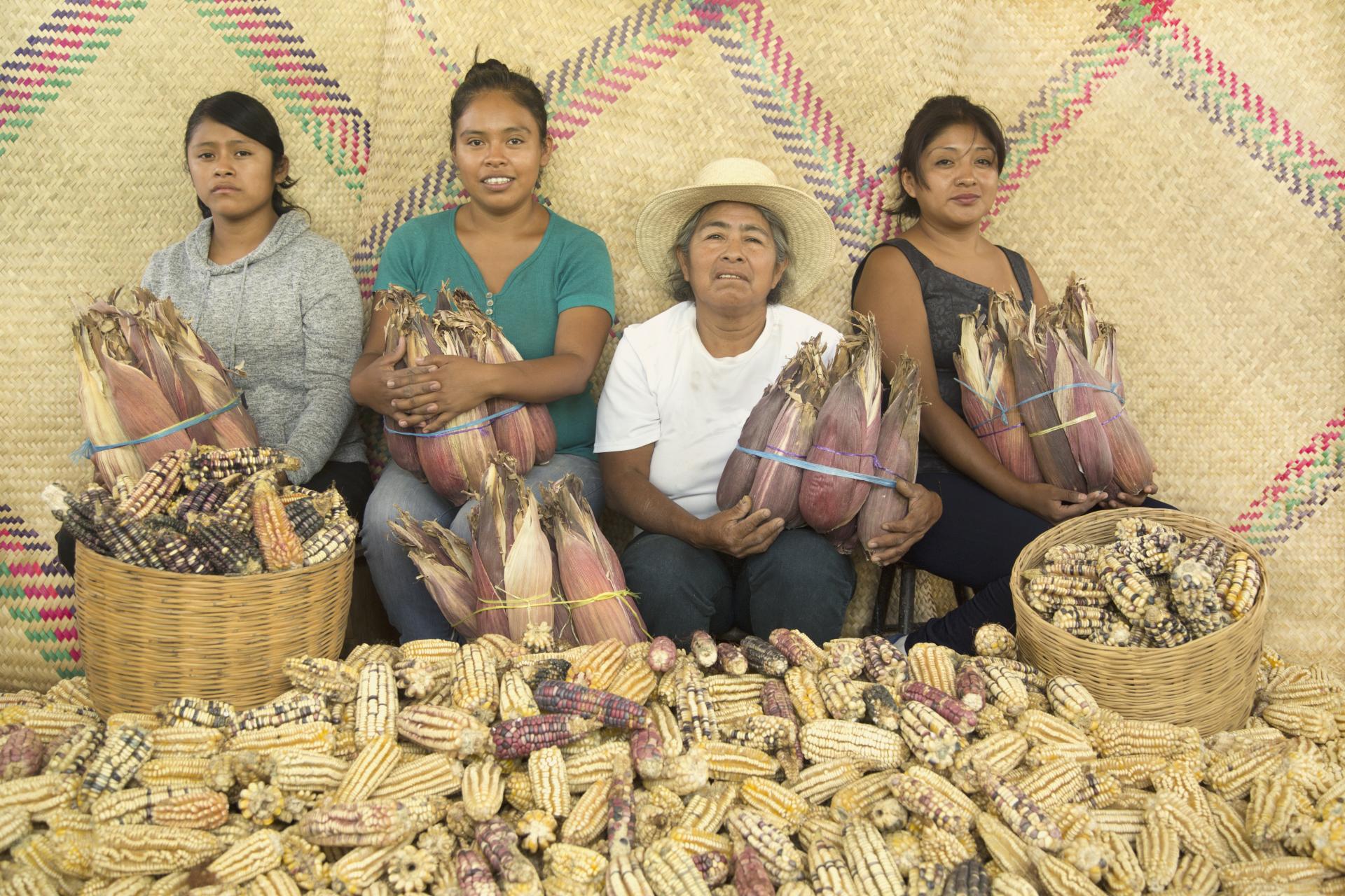Women holding colorful corn husks with various types of maize displayed, showcasing the beauty of Totomoxtle material.