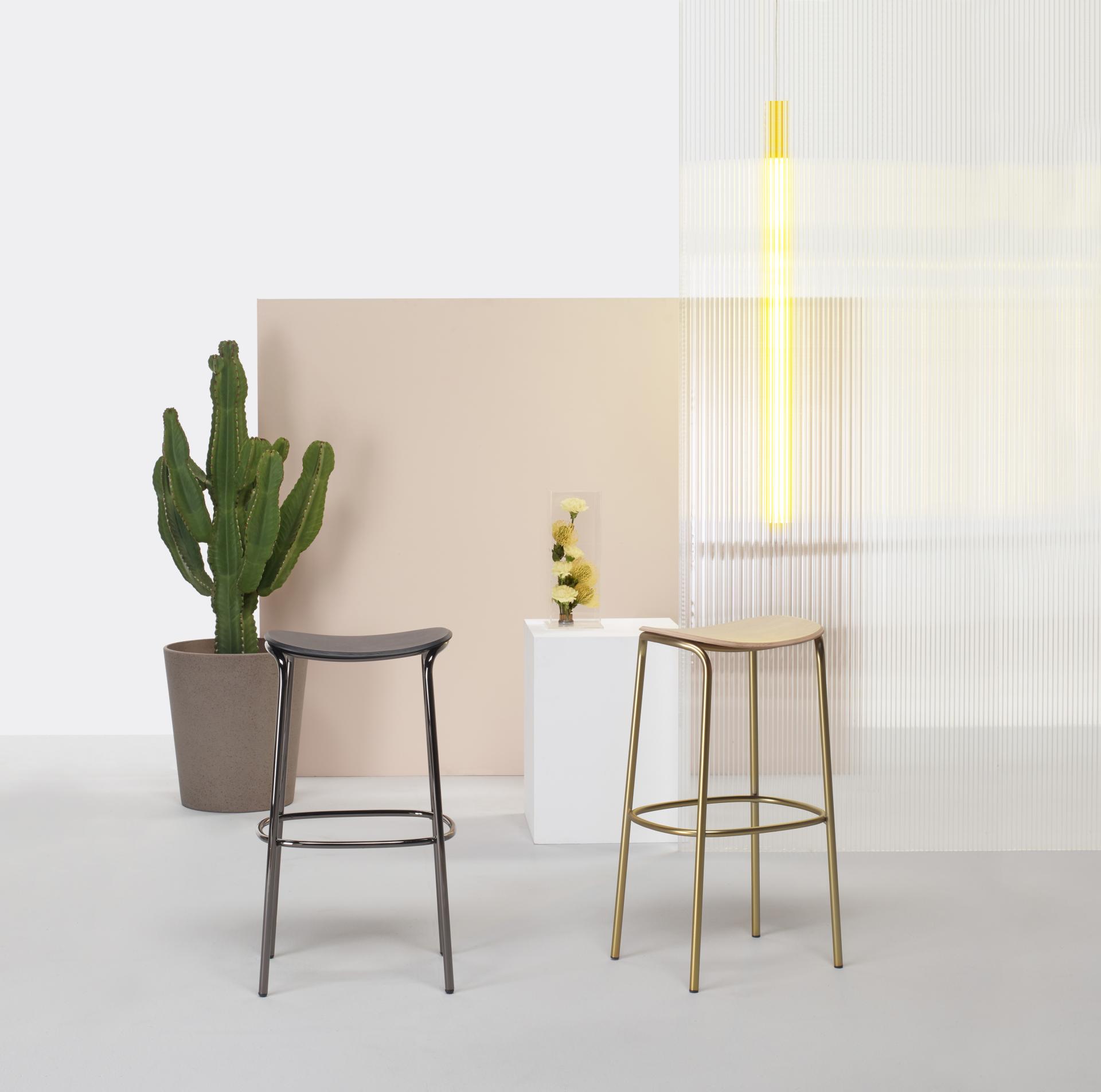 Modern indoor space featuring minimalist bar stools, a tall cactus plant, and contemporary decor elements promoting outdoor-inspired design.