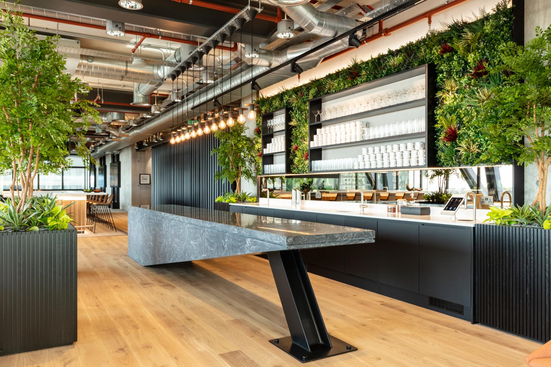 Modern office kitchen featuring greenery, a sleek granite counter, and minimalist design elements for a vibrant workspace.