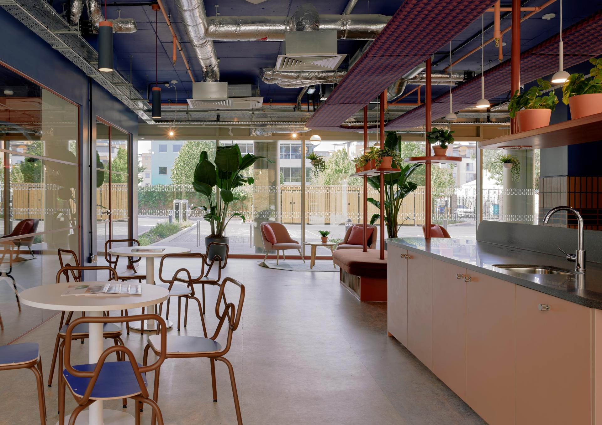 Modern communal area in Enso, Colchester, featuring plants, seating, and a stylish kitchen, ideal for student living.