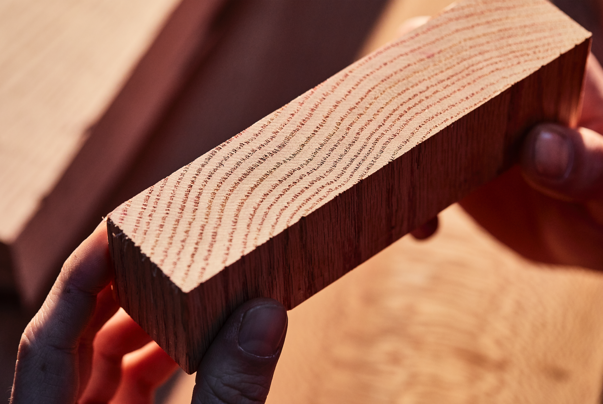 Close-up of a hand holding a red oak wood block, showcasing its distinct grain patterns during Milan Design Week.