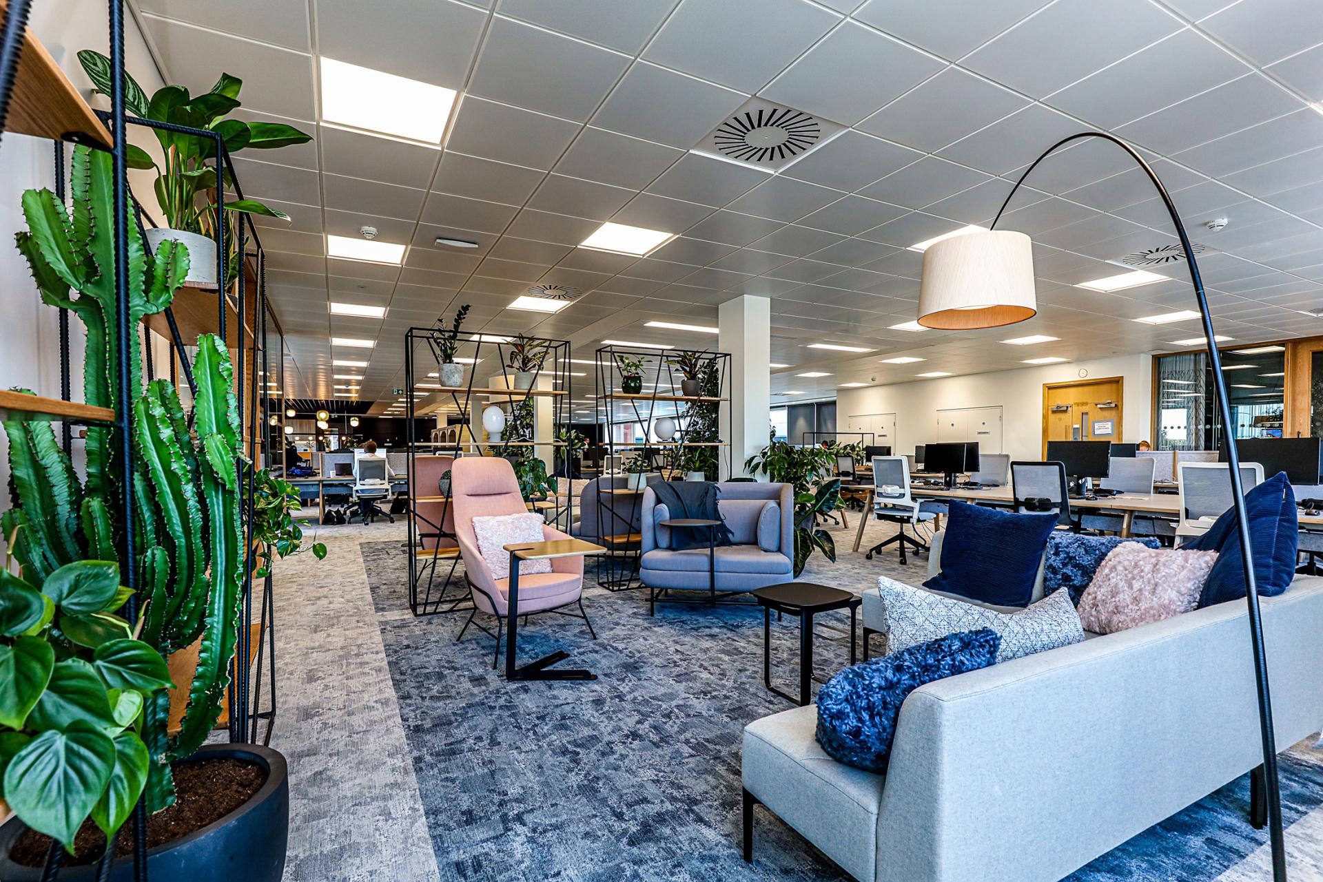 Modern office space at Domestic & General featuring sleek furniture, plants, and collaborative areas for employees.