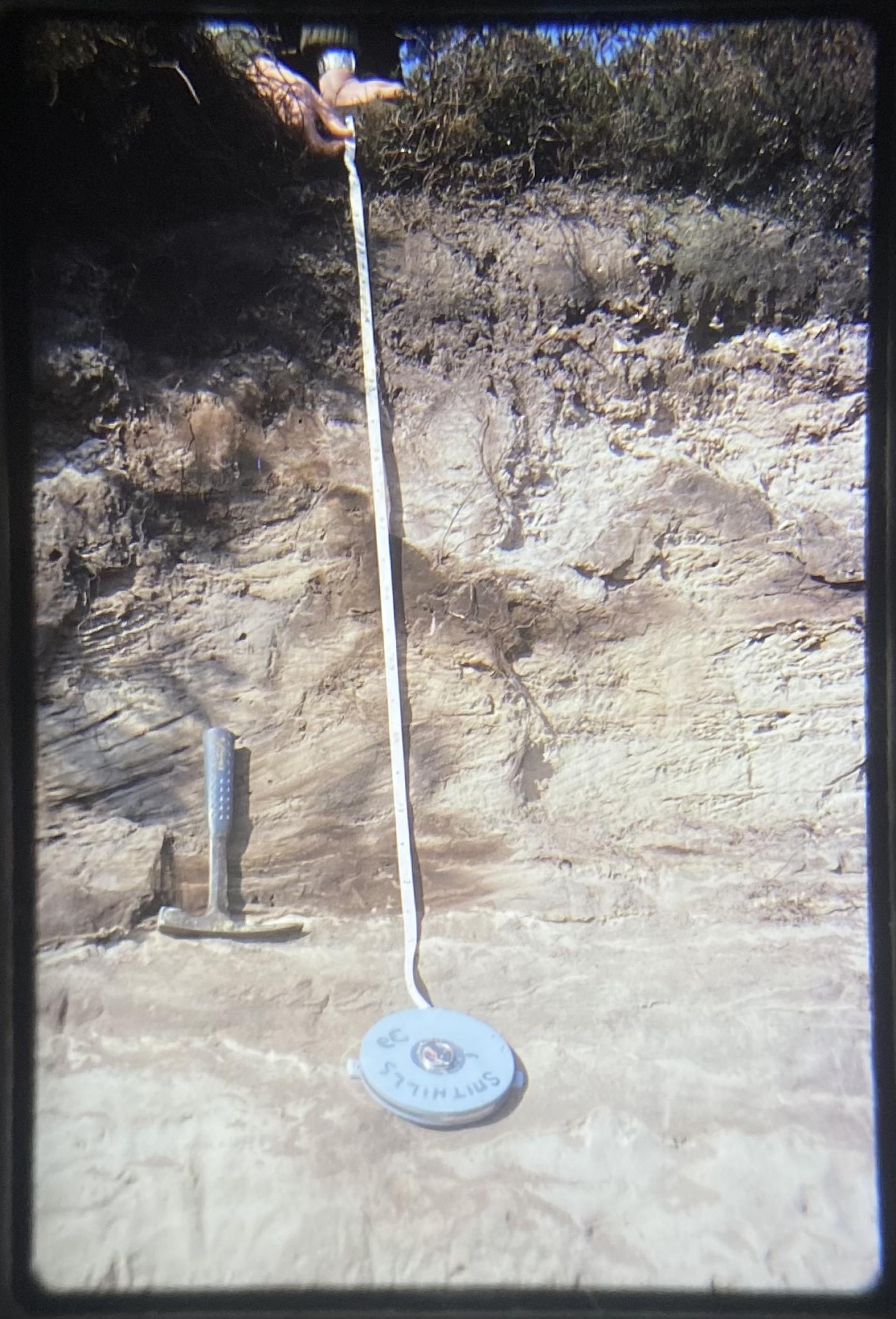 Core sample extraction tool and measuring tape positioned on layered soil, illustrating fieldwork in bio-art and environmental sculpture.