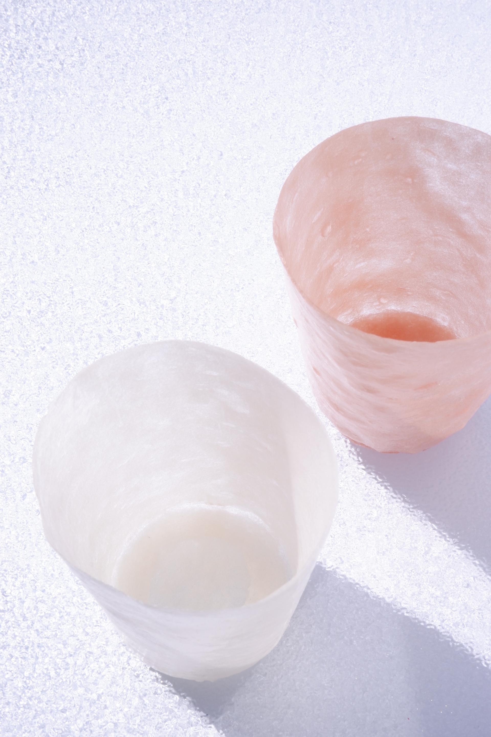 Biodegradable biomaterials shaped into aesthetic containers, showcasing circular economy principles in sustainable design.