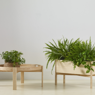 Contemporary wooden planters displaying lush greenery, part of Another Country and Ekkist's wellbeing furniture collection.