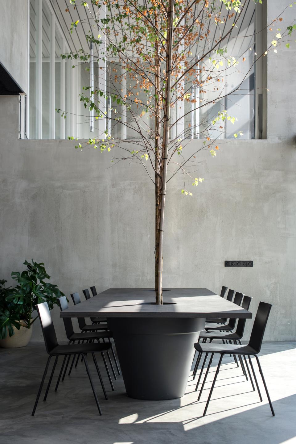 Minimalist dining area featuring a large table with a tree centerpiece, surrounded by black chairs in an industrial space.