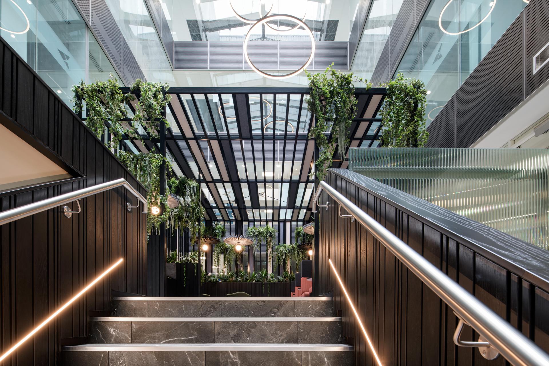 Staircase leading to a modern interior with greenery, featuring stylish lighting and architectural glass features in Manchester.