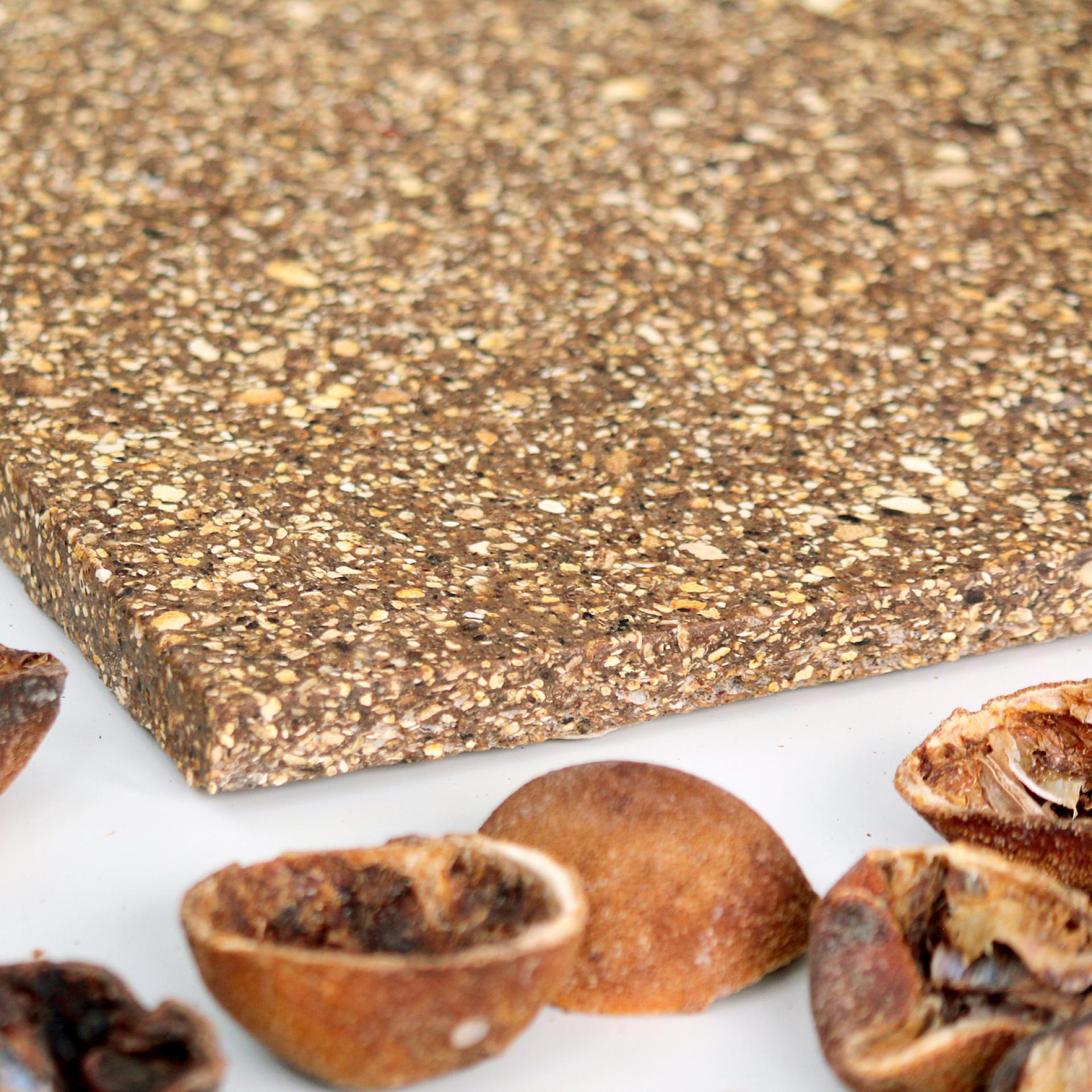 Sustainable bio-material from Caracara Collective, featuring textured surface and natural seed pods, highlighting innovative design.