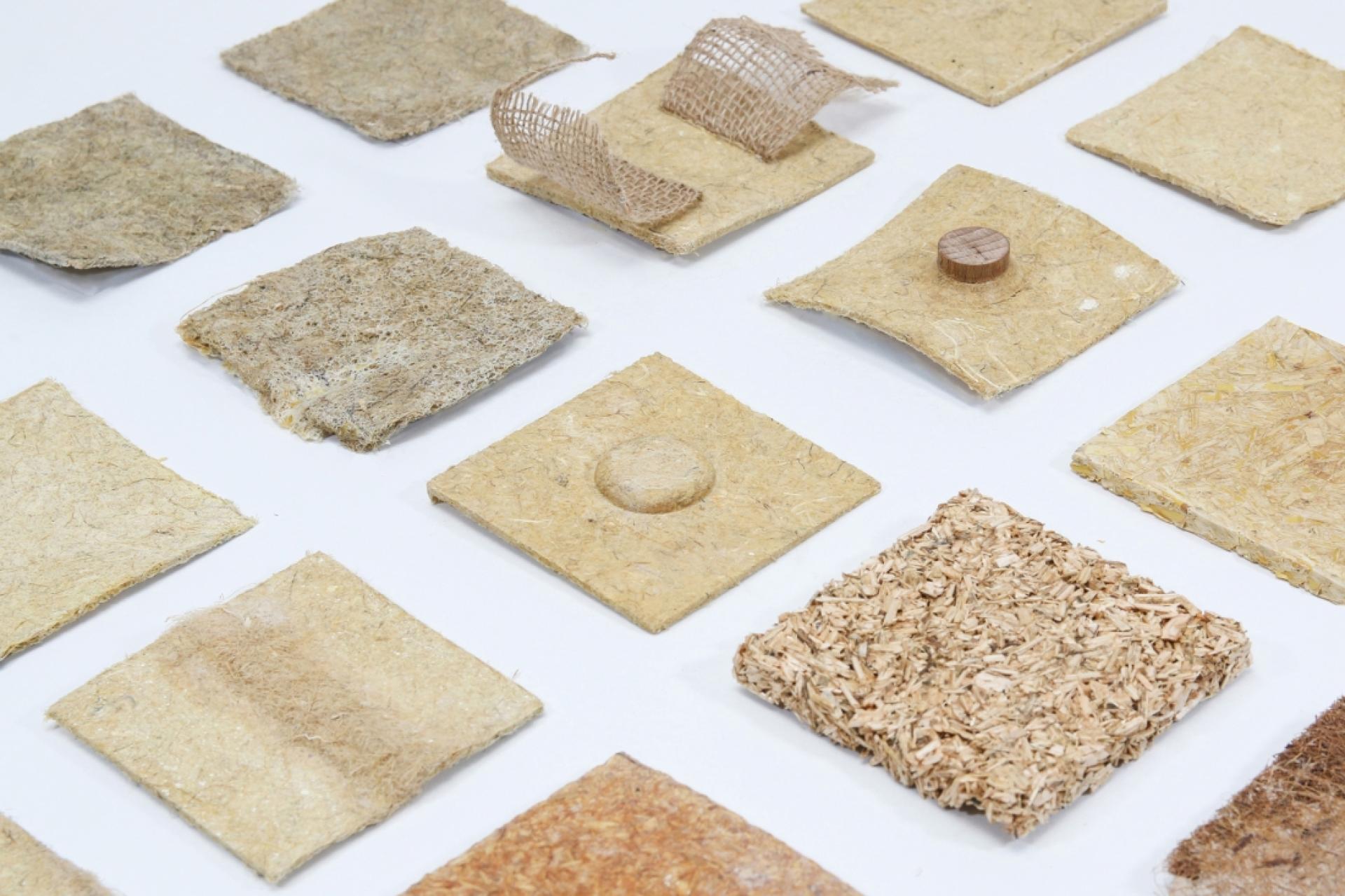 Top 22 biomaterial designers to watch in 2022.