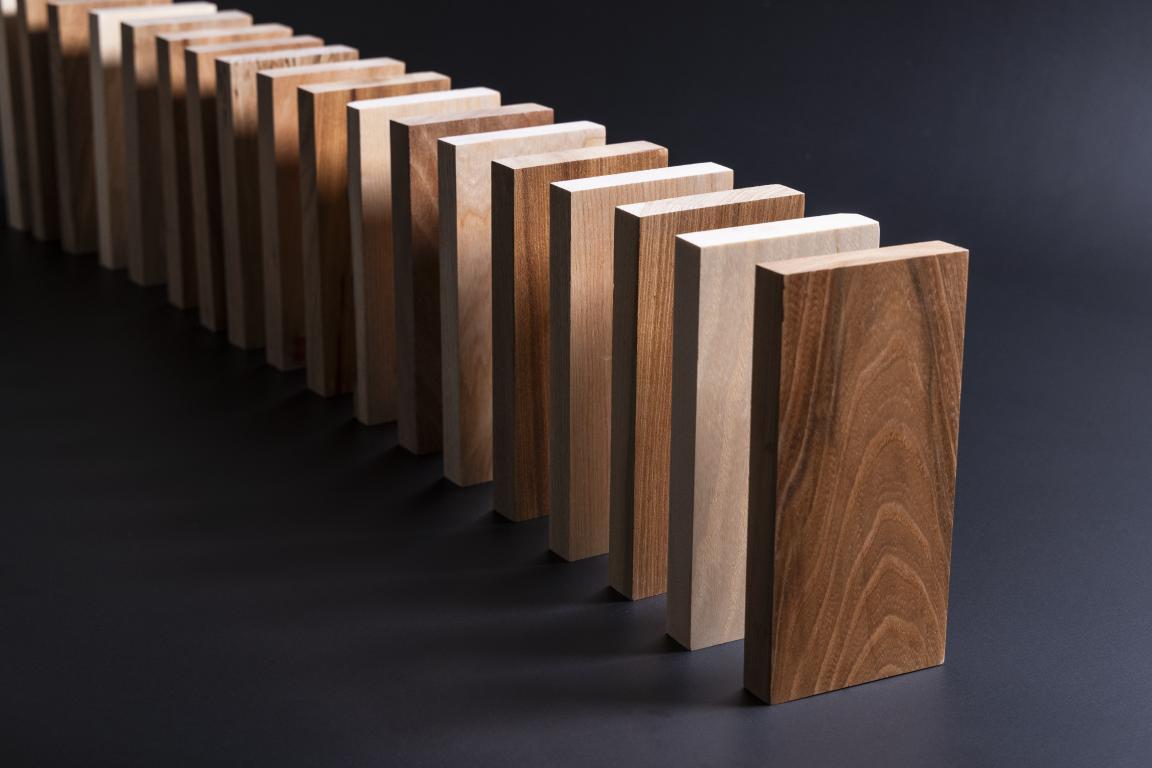 Carbon-12: Fallen & Felled.