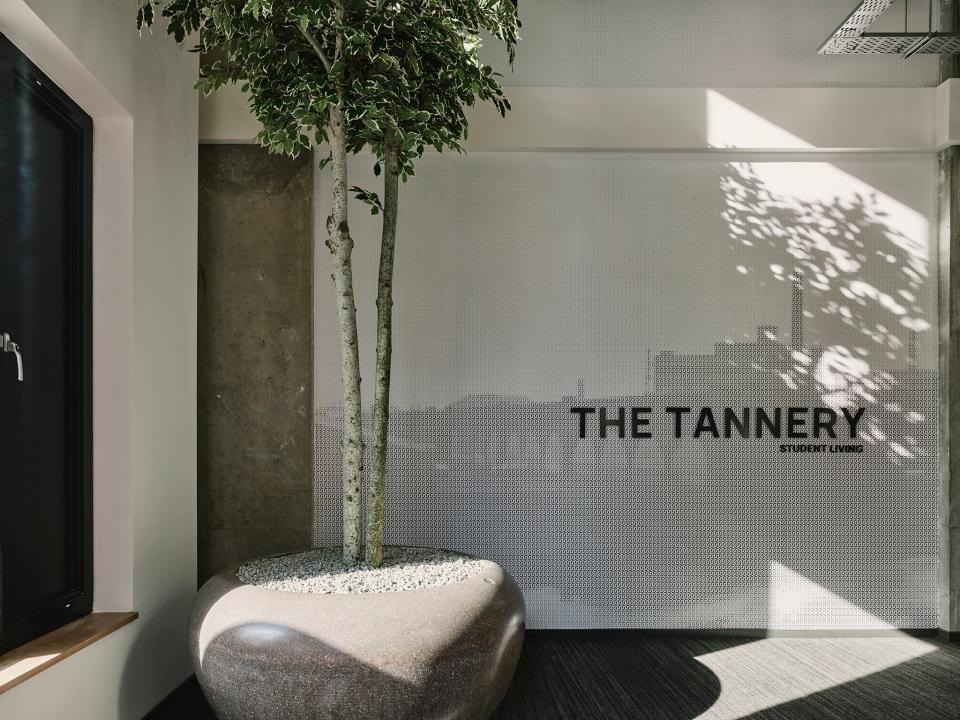 Modern interior of The Tannery, showcasing a minimalist design with a tree and feature wall for student living in Leicester.