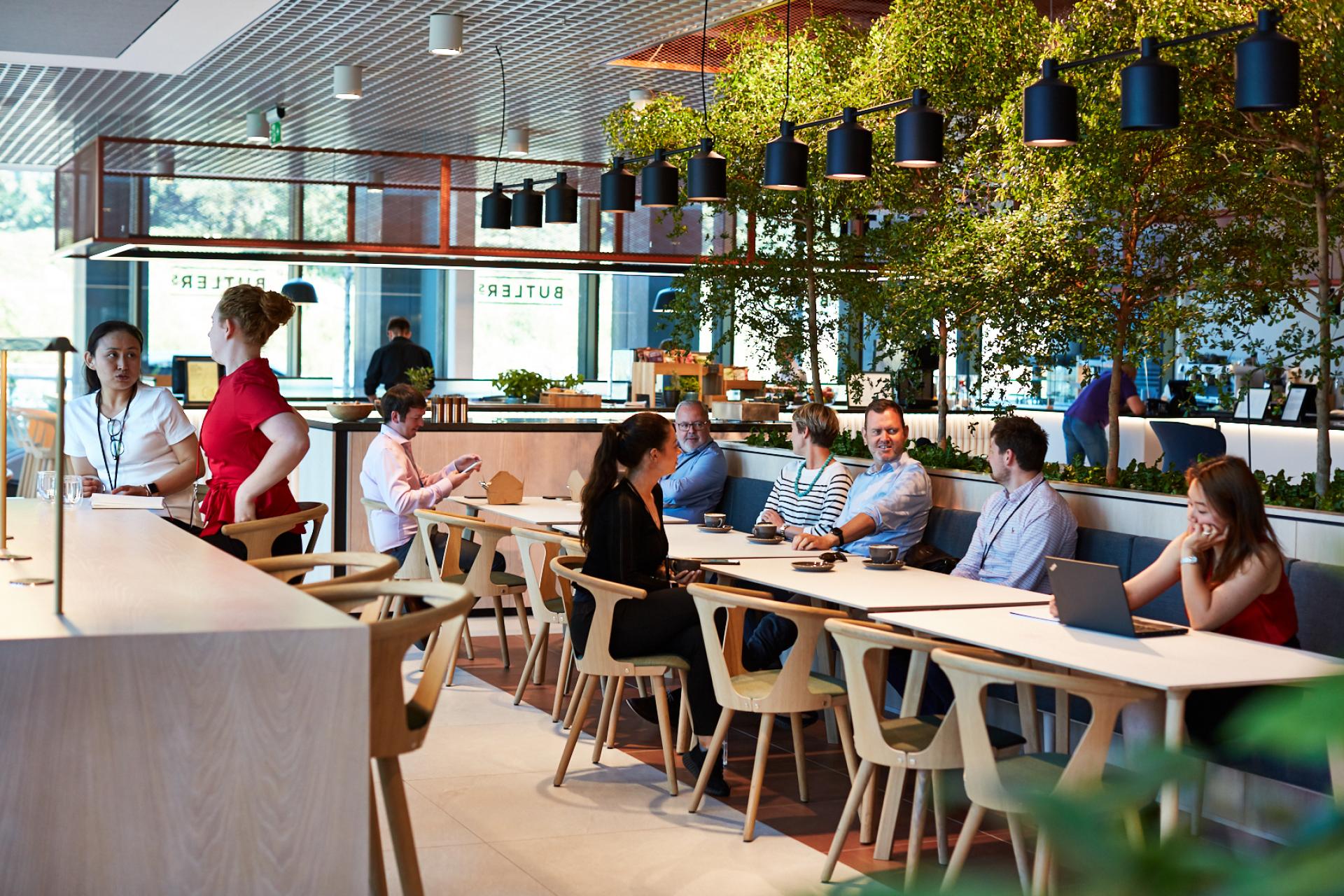 Collaborative workspace with people discussing design and culture, featuring greenery and modern interior design elements.