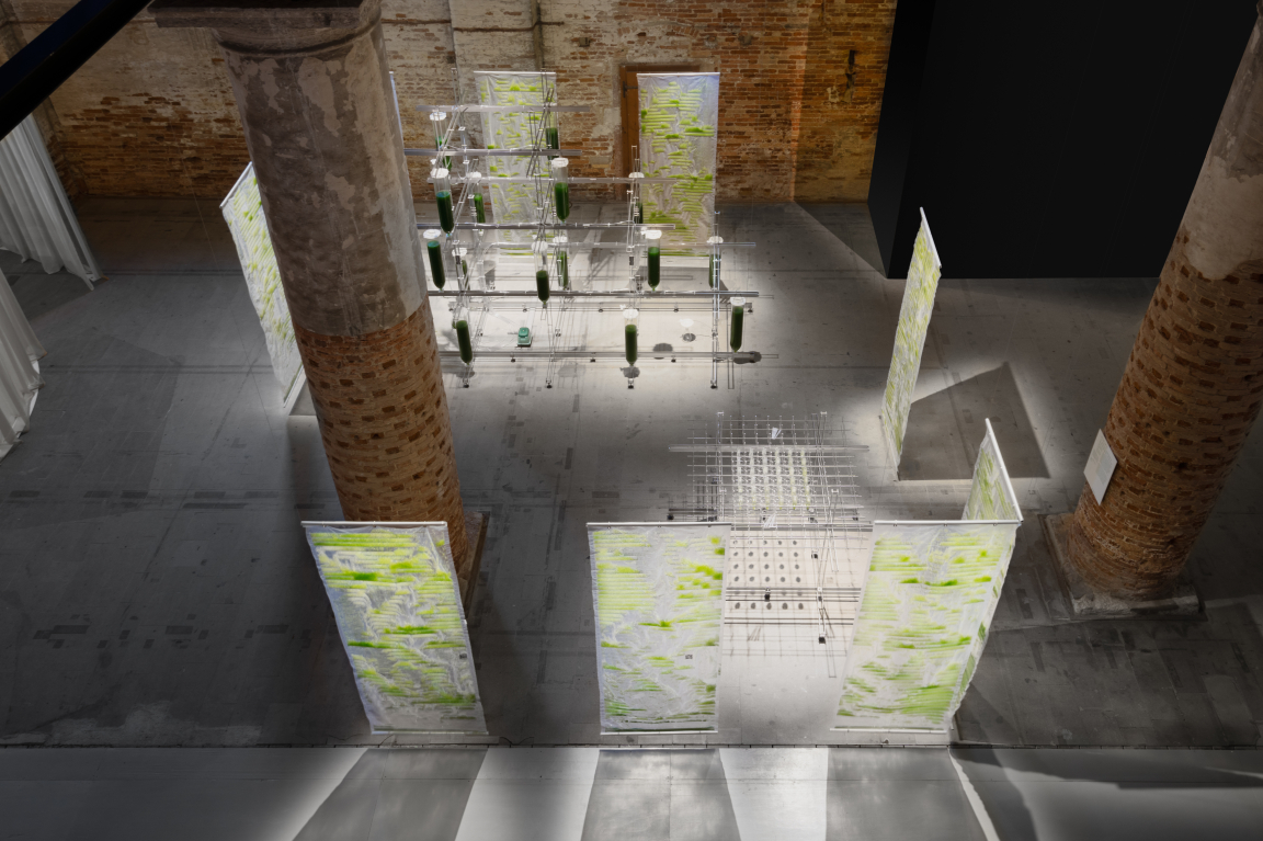 Biotech architecture installation featuring transparent panels, green elements, and a modular framework in an industrial space.