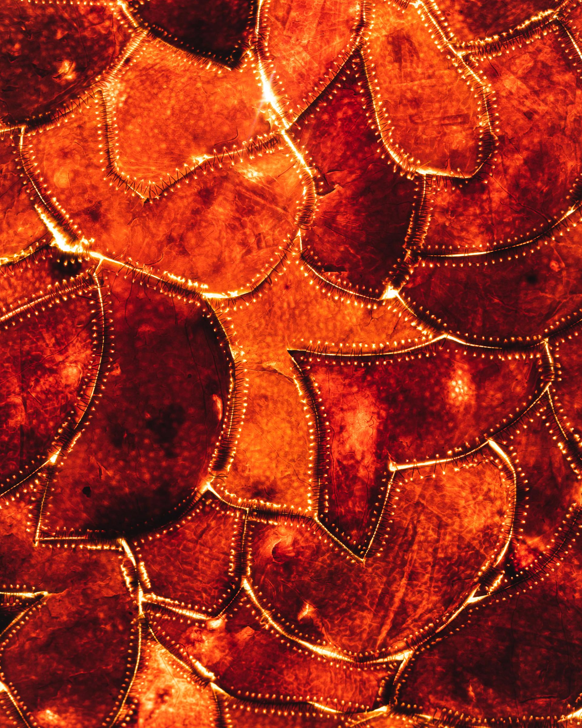 Intricate arrangement of overlapping, translucent, orange-hued materials showcasing innovative waste-based design for the Material Matters Fair.